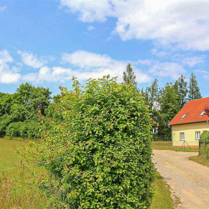 Ferielejlighed - 4 personer -  - Strietfeld - 17209 - Walow Ot Strietfeld