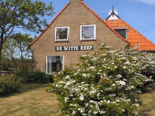 Sommerhus - 10 personer -  - 9161 CK - Hollum Ameland
