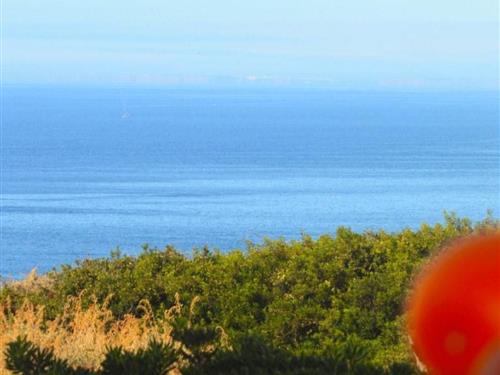 Ferielejlighed - 2 personer -  - Carvoeiro - 8400-525