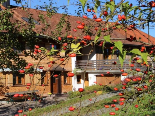 Holiday home - 4 persons -  - 88171 - Weiler - Simmerberg Im Al