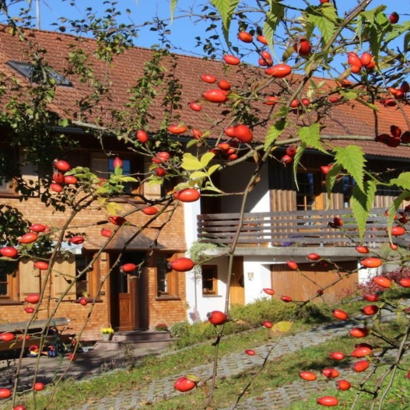 Sommerhus - 4 personer -  - 88171 - Weiler - Simmerberg Im Al