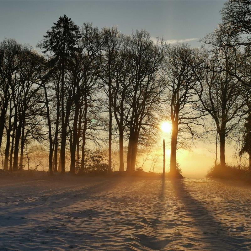 Sommerhus - 10 personer -  - Oltmannsfehner Straße - 26670 - Uplengen