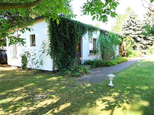 Holiday apartment - 2 persons -  - Sehr ruhig gelegen, Nah am Bodden - 18356 - Fuhlendorf / Bodstedt