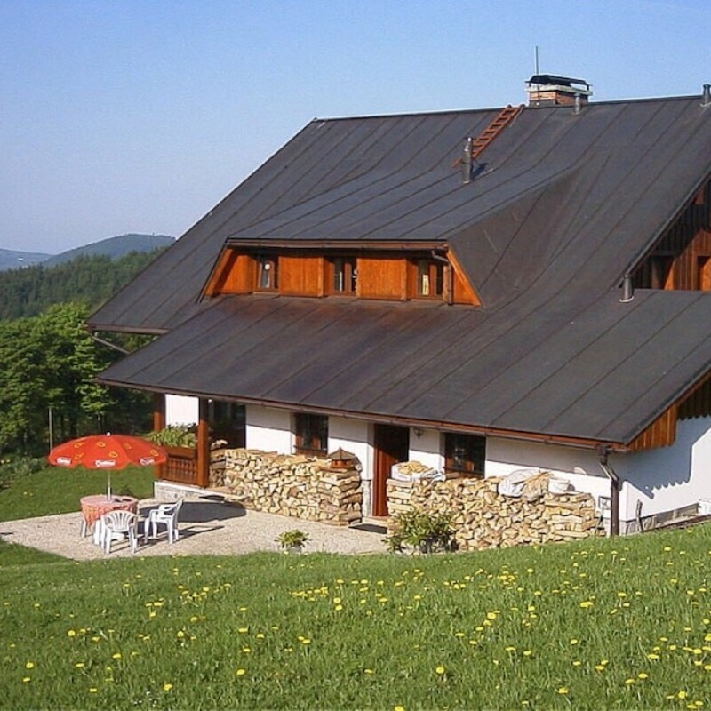 Sommerhus - 12 personer -  - 46850 - Ko?Enov-Polubný