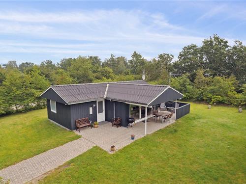 Ferienhaus - 6 Personen -  - Pramdragerparken - Truust - 8882 - Faarvang