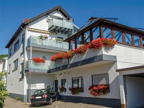 Ferieleilighet - 2 personer -  - Bögnerweg - 67435 - Neustadt An Der Weinstraß