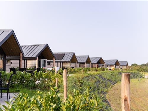 Holiday home - 4 persons -  - 6268 NN - Bemelen