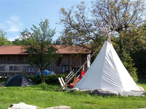 Feriehus - 30 personer -  - 94065 - Waldkirchen