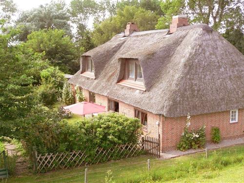 Sommerhus - 10 personer -  - 25870 - Oldenswort