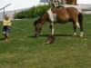 Billede 11