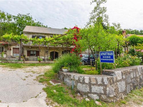 Ferielejlighed - 4 personer -  - Smoline - Omis-Svinisce - 21208 - Svinisce