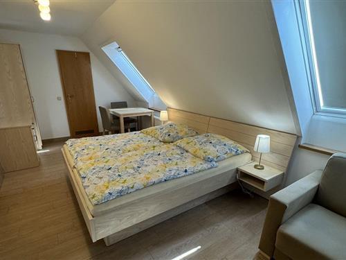 Ferieleilighet - 3 personer -  - Zum Forsthof - 18311 - Ribnitz Damgarten Ot Hirs