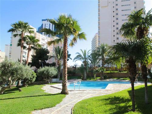 Ferienhaus - 4 Personen -  - Benidorm - 03501