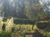 Bilde 4