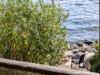 Bild 17