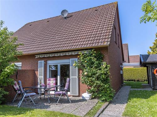 Ferienhaus - 5 Personen -  - Muschelpadd - 26409 - Carolinensiel-Harlesiel