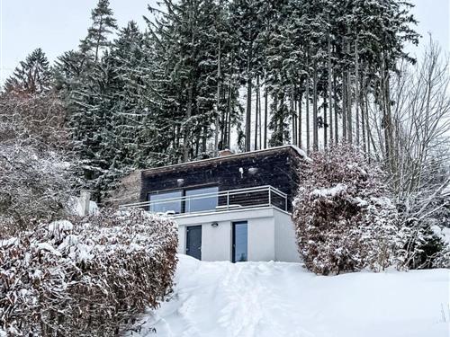 Holiday home - 8 persons -  - Vlcice - 541 01