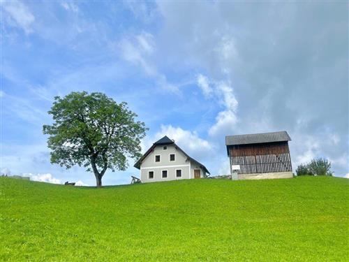 Ferienhaus - 6 Personen -  - Hochreit - 3345 - Göstling An Der Ybbs