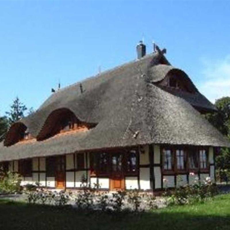 Ferielejlighed - 2 personer -  - Bauernreihe - 18347 - Ahrenshoop