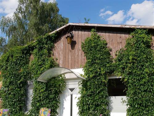 Ferienhaus - 2 Personen -  - Diemitz Schleuse - 17252 - Diemitz