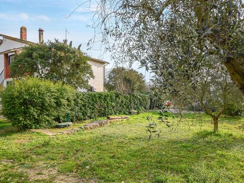 Ferielejlighed - 6 personer -  - Strada Consortile la Vicarina - Magliano/ Toscana - 58051 - Magliano In Toscana