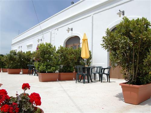 Ferienwohnung - 2 Personen -  - Cisternino - 72014