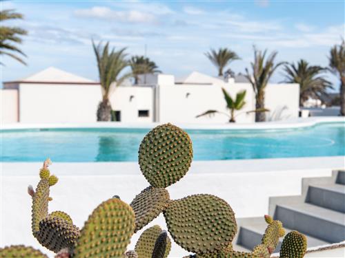 Ferielejlighed - 4 personer -  - Charco Del Palo - 35543