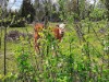 Bild 14