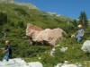Bild 24