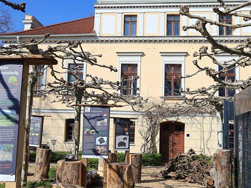 Ferielejlighed - 6 personer -  - Zittauer Straße - 02826 - Görlitz