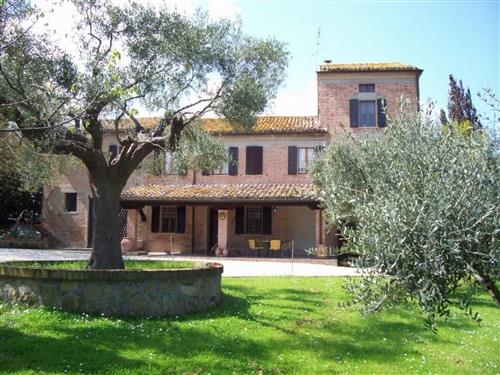 Ferielejlighed - 6 personer -  - Belvedere Ostrense - 60030