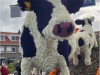Bild 16