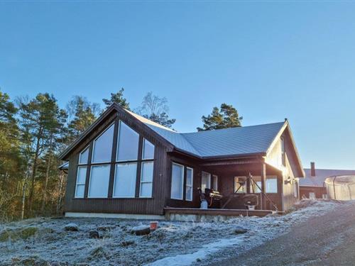 Sommerhus - 11 personer -  - Nordstøkleiva - 4580 - Lyngdal