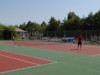 Image 15