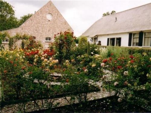 Holiday apartment - 6 persons -  - Polsbroek - 3415RC