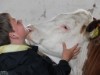 Bilde 2