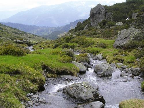 Ferielejlighed - 2 personer -  - 6313 - Wildschönau