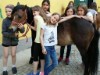 Billede 7