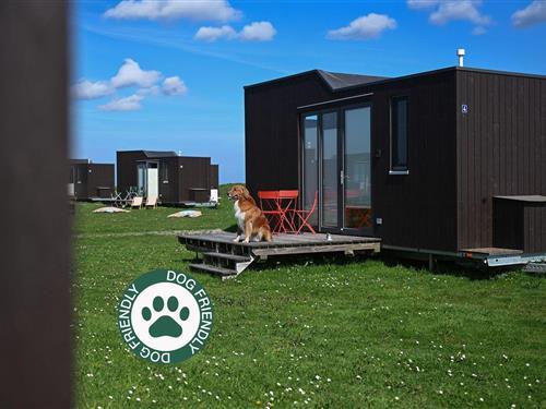 Feriehus - 4 personer -  - Schwerinsgroden - 26409 - Wittmund