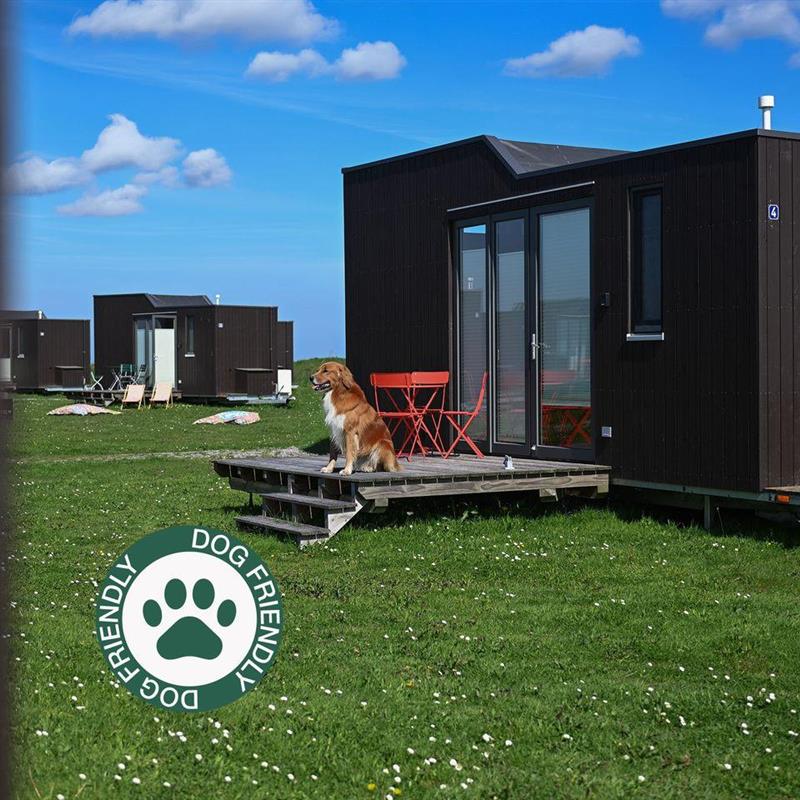 Sommerhus - 4 personer -  - Schwerinsgroden - 26409 - Wittmund