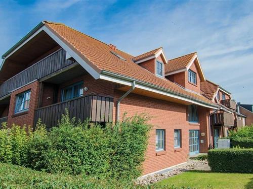 Semesterhus/Semesterlägenhet - 6 personer -  - An der Aue - 23747 - Dahme