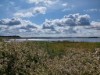 Billede 29 - Udsigt over vand