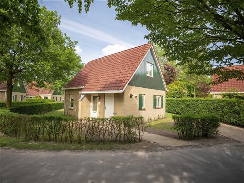 Holiday Home/Apartment - 4 persons -  - Westelbeersedijk - 5087 TK - Diessen-Baarschot