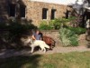 Bild 8