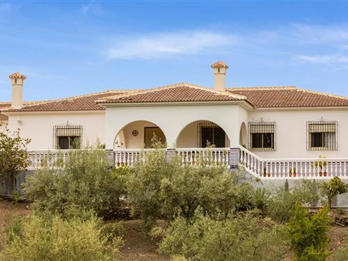 Holiday home - 9 persons -  - 29712 - Andalucía