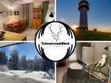 Objekt Nr.: 540-312686-225361
