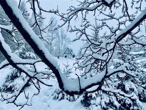 Sommerhus - 4 personer -  - Waldarbeitersiedlung - 08267 - Zwota