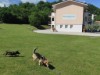 Image 21 - Outside