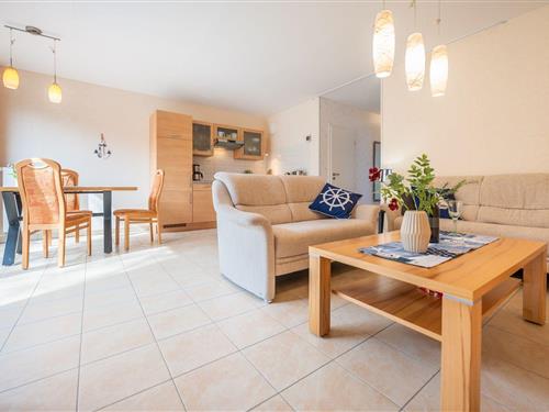 Holiday apartment - 2 persons -  - Ringstr. - 18556 - Juliusruh