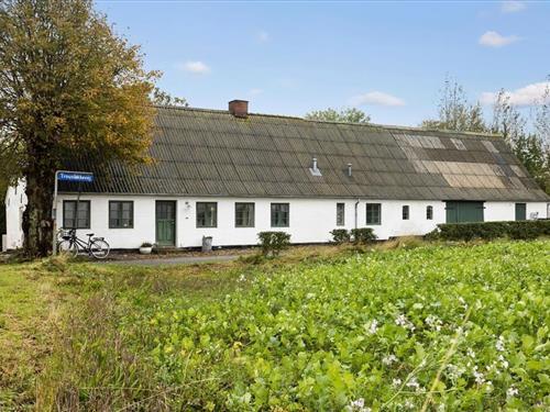 Ferienhaus - 6 Personen -  - Trousløkkevej - Trousløkke - 5960 - Marstal